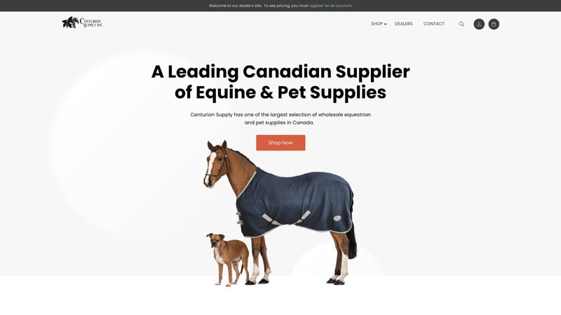 Horse wearing a winter blanket for equine care and pet supplies.